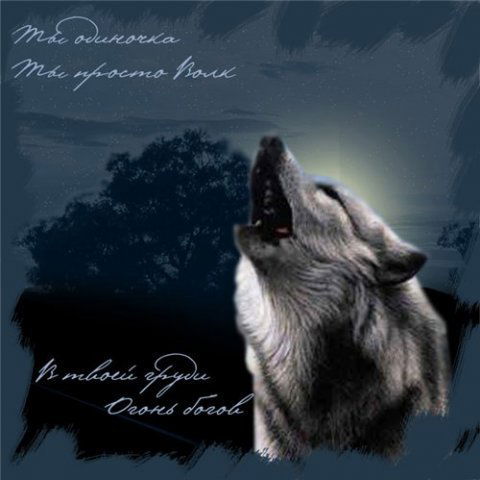 Саша Поповкин