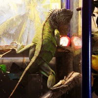 Марина Буцай