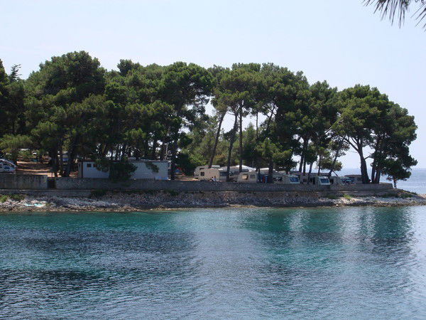 Андрей Симанков