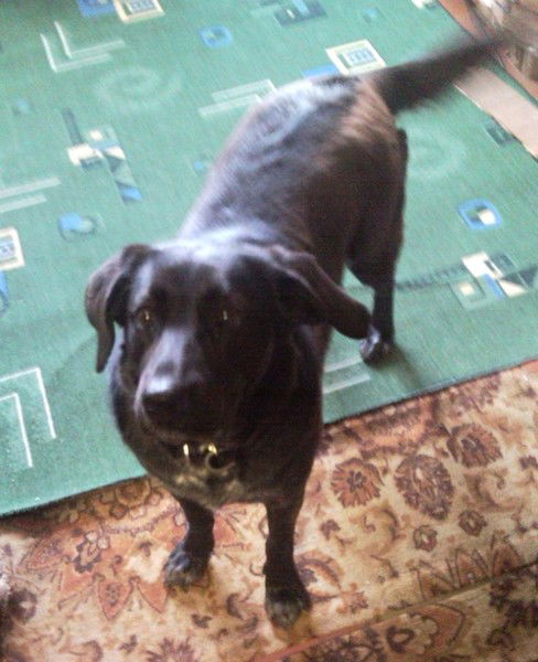 Антон Кондратюк