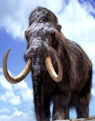 Артём Агеев