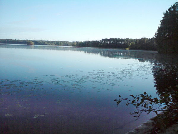 Сергей Чухонкин