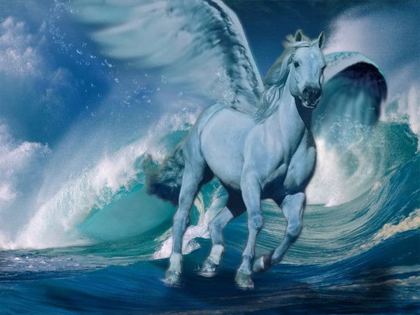 Степан Мамалига