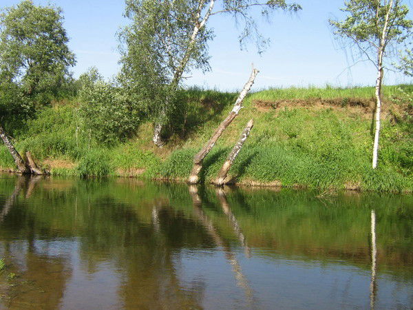 Александр Минаев