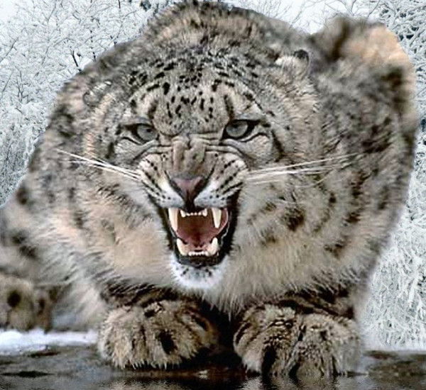 Виктор Белозеров