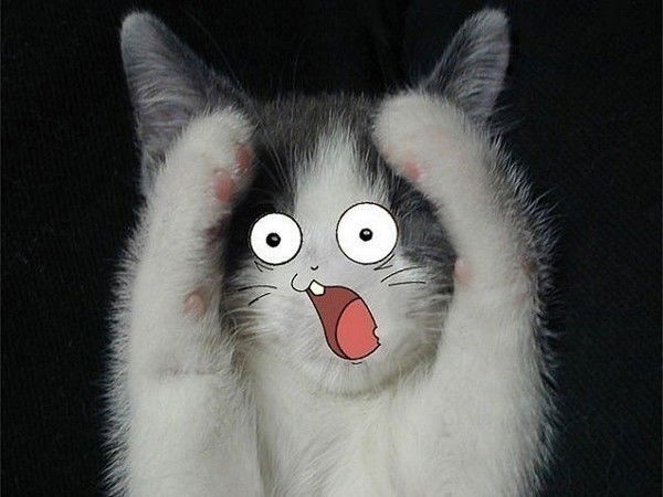 Нету Ника Буквы Кончились