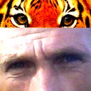 Александр Заскин