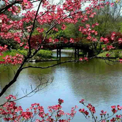 Аяр Геломатова