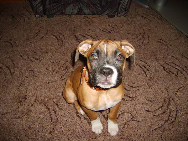 Олег Краснов