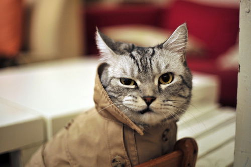 Екатерина Николаева