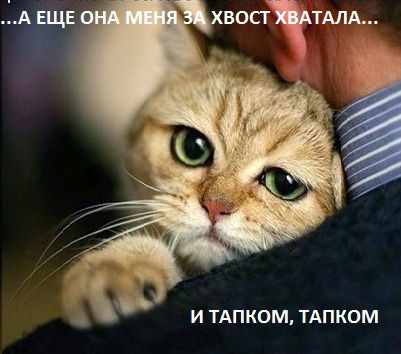 Сергей Панов