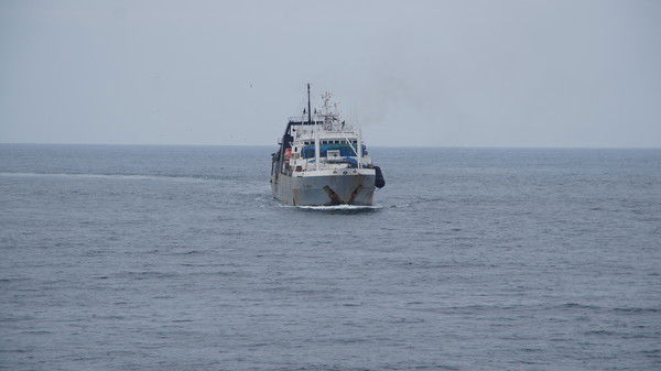 Анатолий Крицков