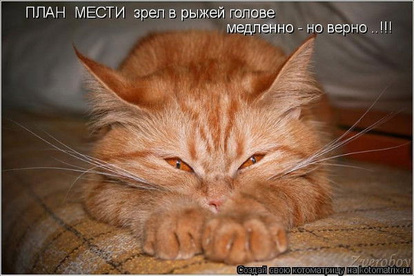 Елена Михалева