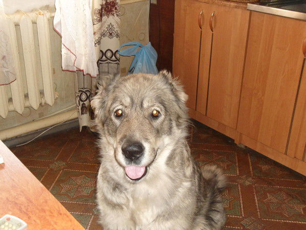 Наталья Иванова-Крищенко