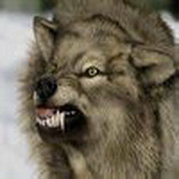 Владимир Шиманский