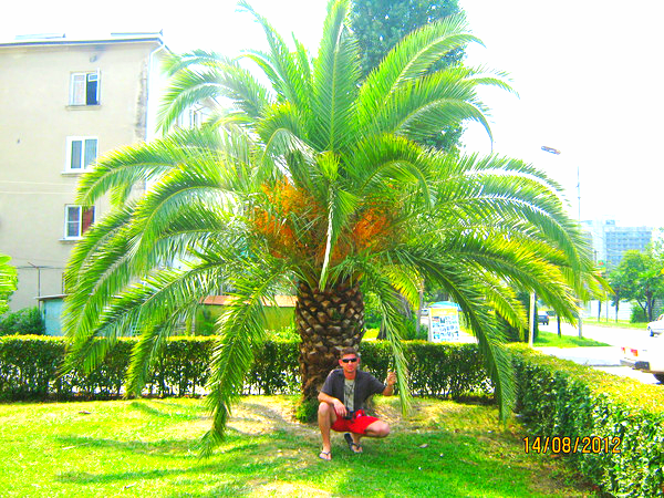 Сергей Низолин