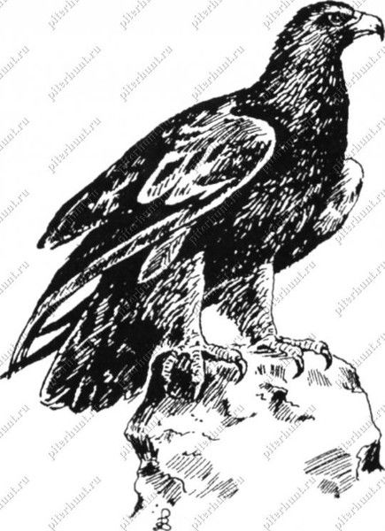 Бауржан Жабагиев