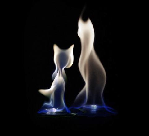 Айнара Дусаева