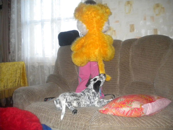 Татьяна Саранцева