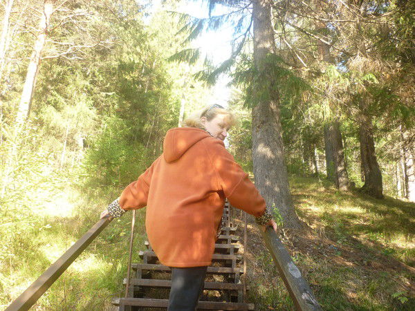 Надежда Софронова