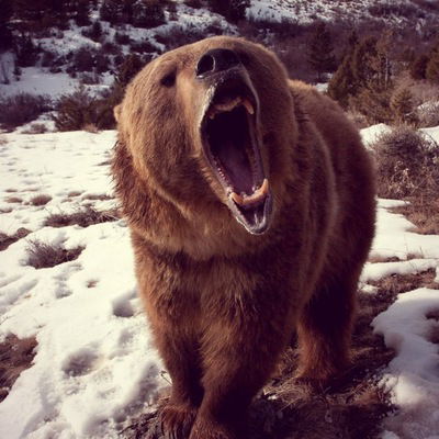 Артем Князев