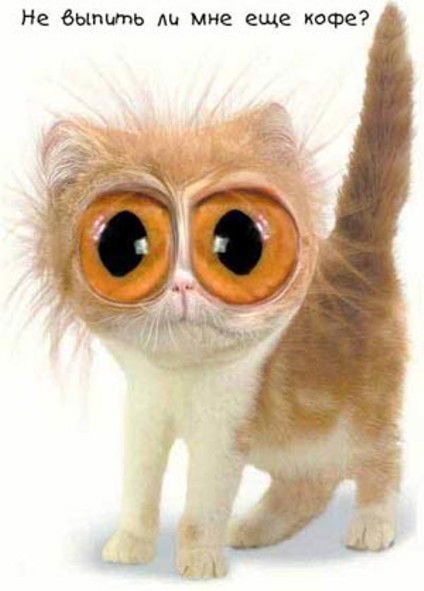 Наталья Крылова