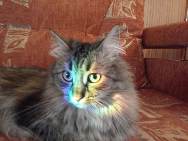 Алиса, (Баст)