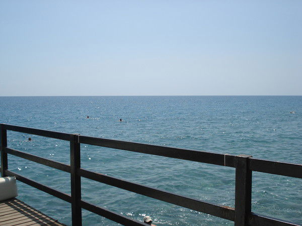 Наталья Московкина