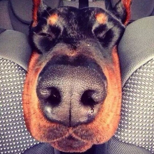 Екатерина Сергеева