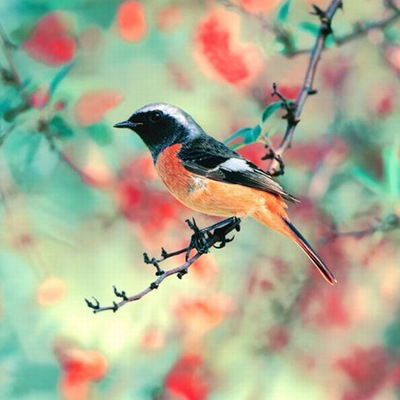 Наталья Рычкова