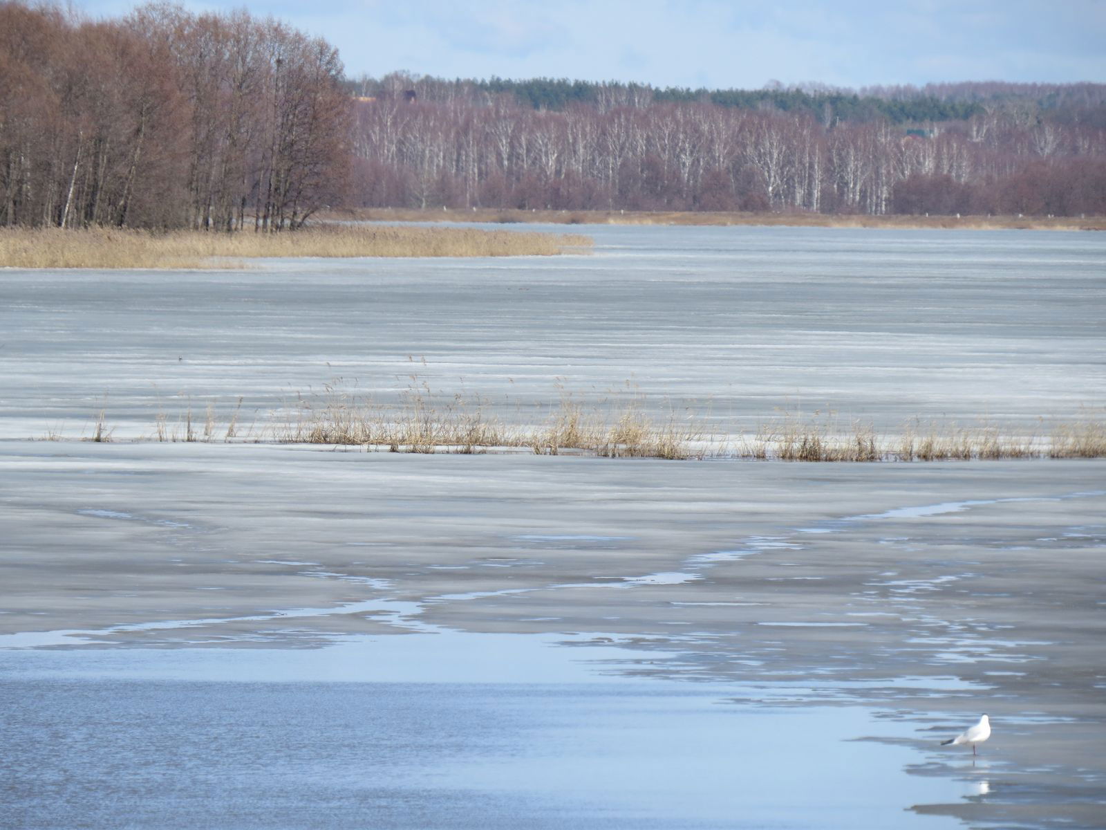 Ольга Юрьевна