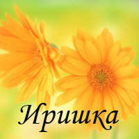 Ира Вяльцева