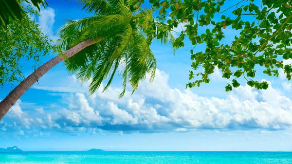 Светлана Пономаренко