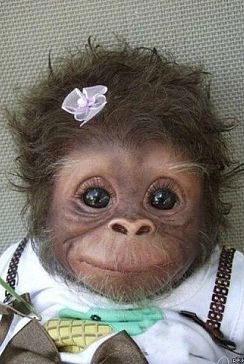 Natalia Korobeynikova