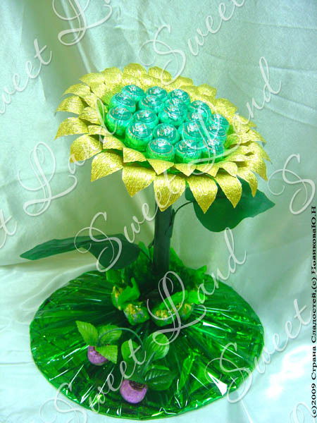 Света Котик