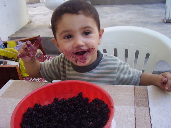 Вреж Карапетян