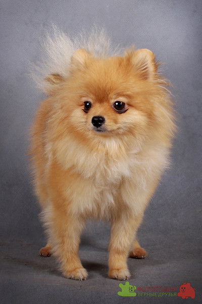 Анна Суханова