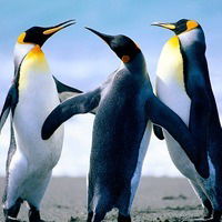 Егор Очеретько