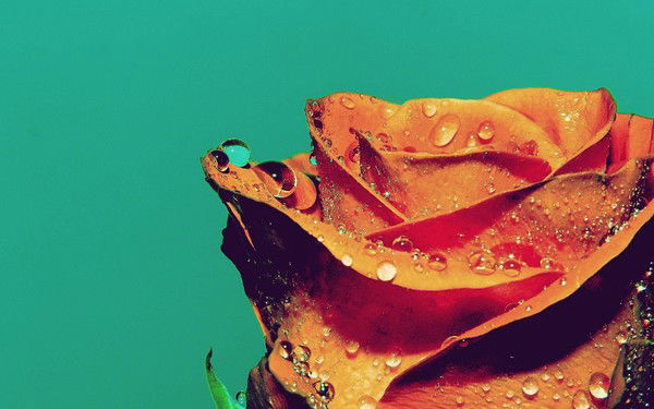 Карина Ткаченко