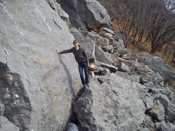 Дмитрий Моисеенко