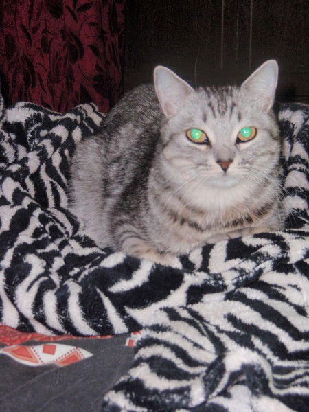 Фёдор Авдеев