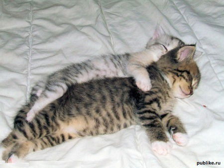 Елена Селина