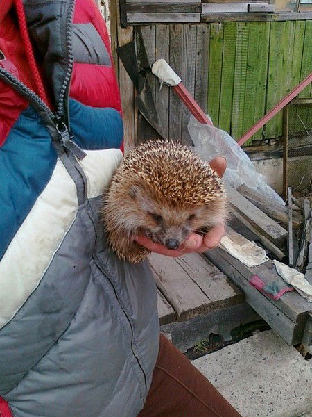 Любовь Прудник