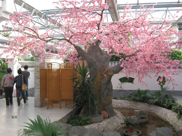 Женя Кырнац