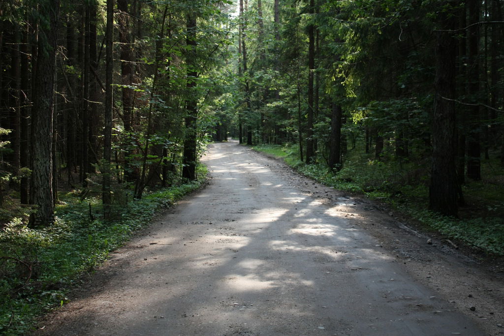 Юрий Пупышев