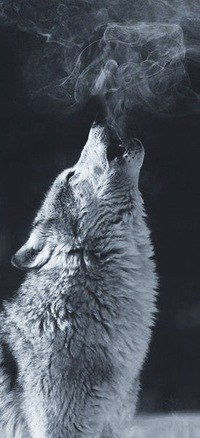 Андрей Смирнов