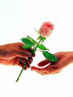 .......... ..........