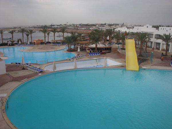 Лилия Шангина