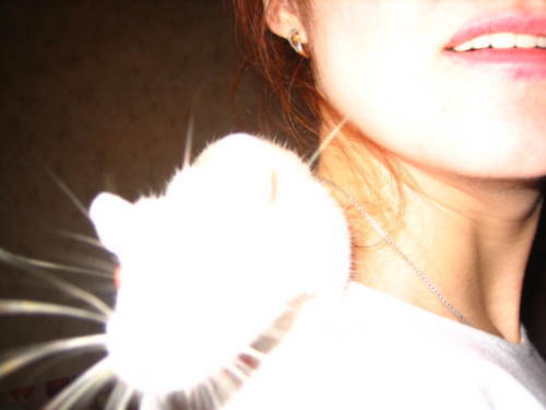 Неля Наилиа