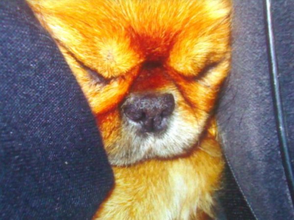 Юлия Ерохина